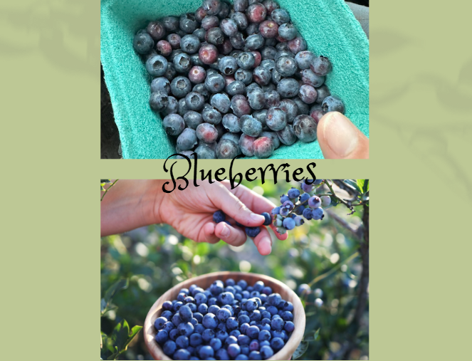 Blueberries