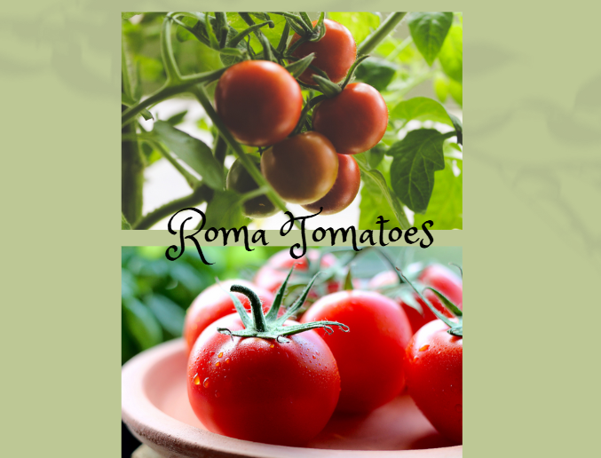 Roma Tomatoes