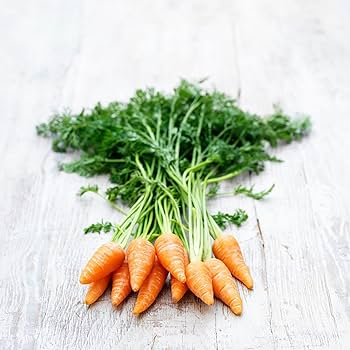 How to Grow & Care for Baby Carrots